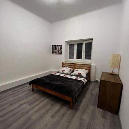 Mlynsky Ostrov Apartment 2 Zdice Exteriör bild