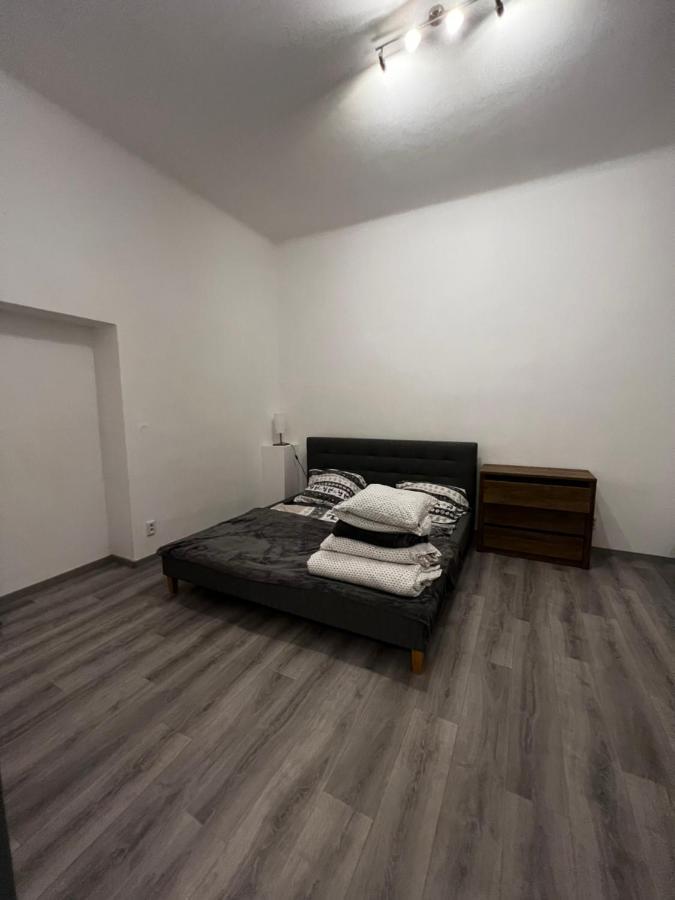 Mlynsky Ostrov Apartment 2 Zdice Exteriör bild